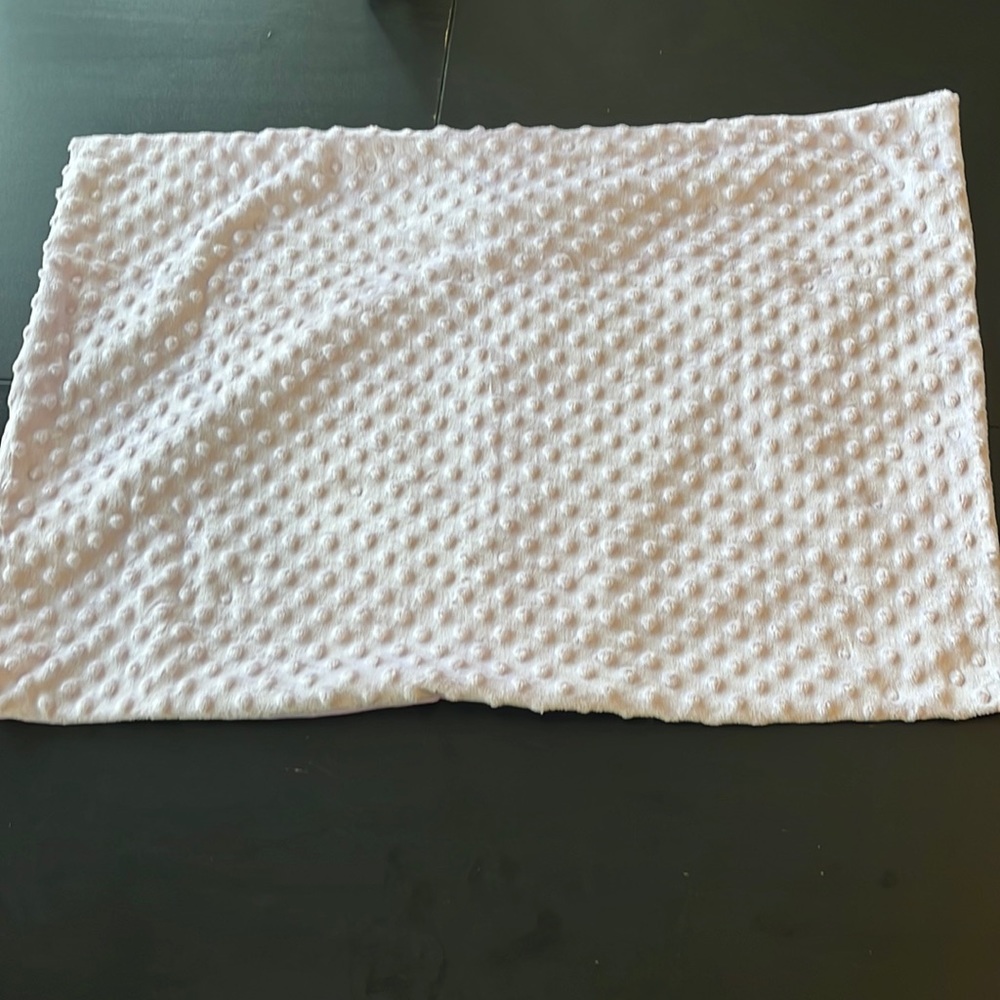 Minky pillow case